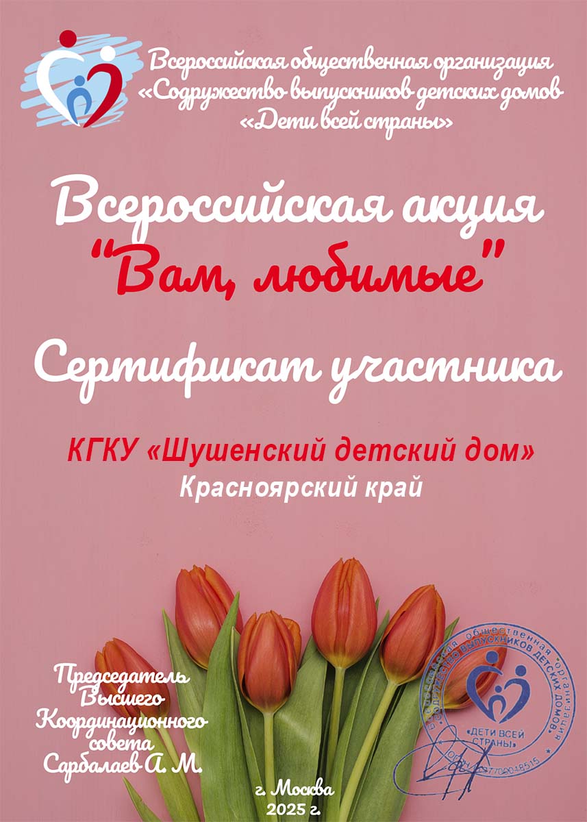 Шушенский детский дом