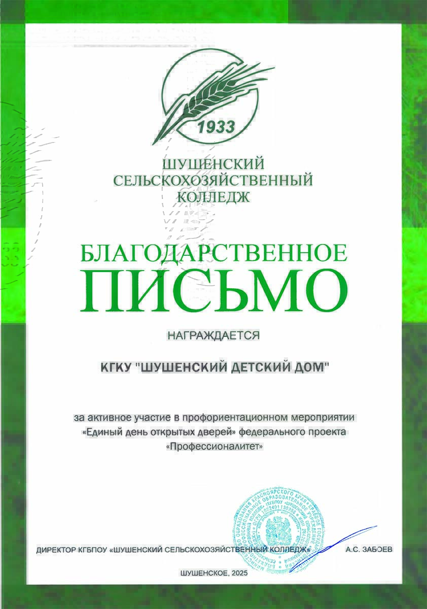 Шушенский детский дом